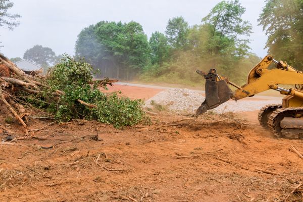 Ground Clearing in Redmond