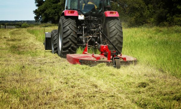 Brush Clearing Service in Redmond