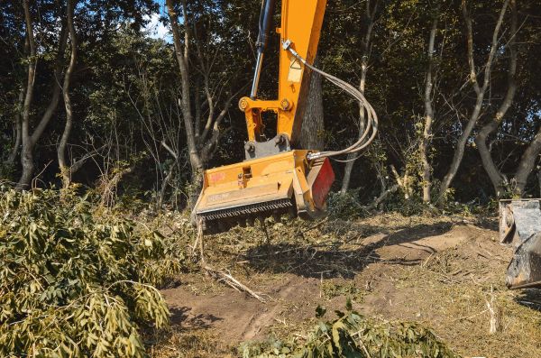 Brush Removal Service in Redmond