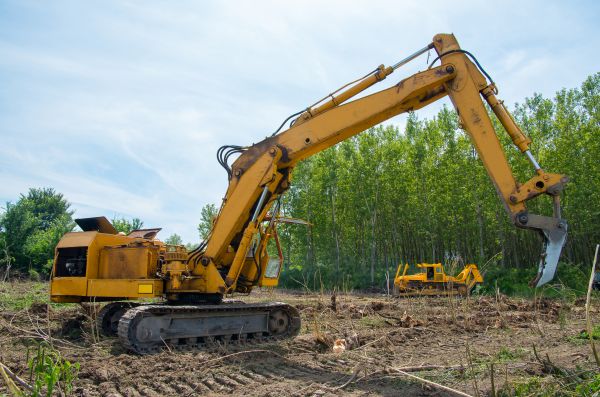 Farm Clearing in Redmond