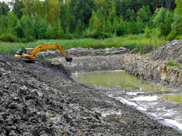 Lake Lot Clearing in Redmond