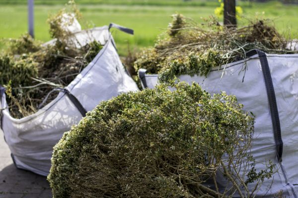 Bushes Clearing in Redmond