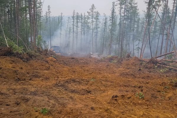 Hill Clearing in Redmond