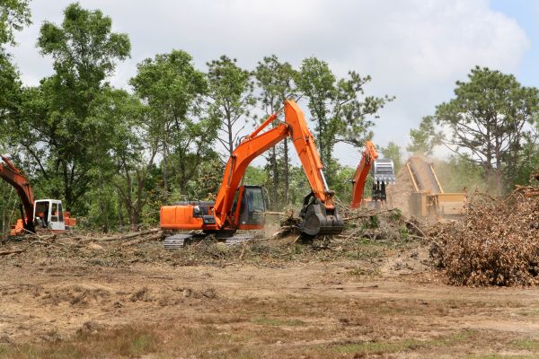 Commercial Lot Clearing in Redmond
