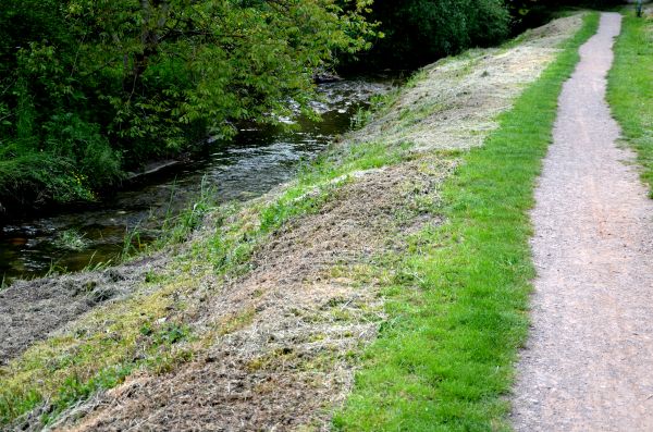 Trail Cutting in Redmond