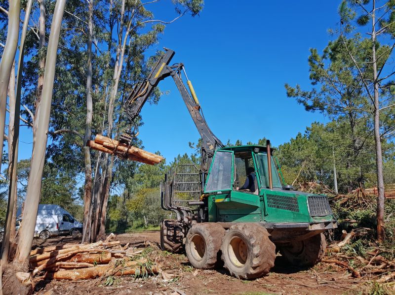 Forestry and Logging Services